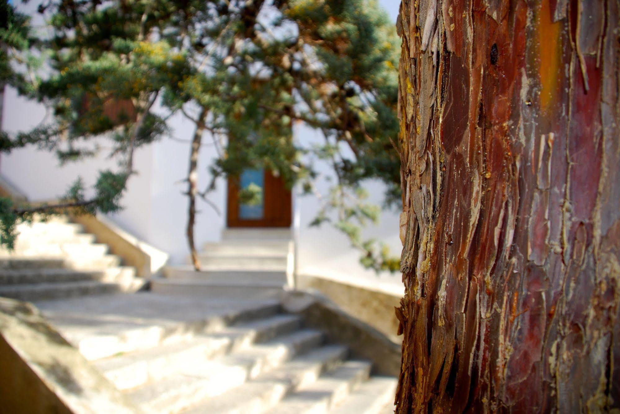 Apartamento Rural Castillo De Yeste 2 Pax (Adults Only) Dış mekan fotoğraf